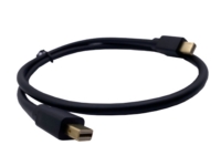Mini DisplayPort 公頭 接 Mini DisplayPort 公頭 Mini DisplayPort 公頭 接 Mini DisplayPort 公頭