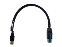 Powered USB 12V 轉 USB A公頭 + DP2.54 4 Pin Powered USB 12V 轉 USB A公頭 + DP2.54 4 Pin