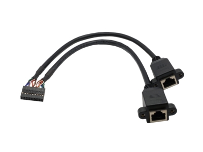 PHD2.0 2x9 Pin 轉 2x RJ45 8P8C 接口 線材