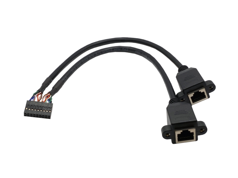 PHD2.0 2x9 Pin 轉 2x RJ45 8P8C 接口 線材 PHD2.0 2x9 Pin 轉 2x RJ45 8P8C 接口 線材